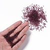Transparent Round Glass Seed Beads SEED-A004-2mm-16-4