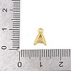 304 Stainless Steel Charms KK-I352-02G-4