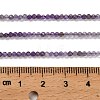Natural Amethyst Beads Strands G-H321-A01-01-6