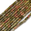 Natural Unakite Beads Strands G-P600-B06-01A-2