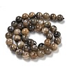 Natural Black Moonstone Beads Strands G-Q183-A01-02-3