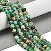 Natural Green Line Jasper  Beads Strands G-B128-A03-02-2