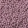 MIYUKI Round Rocailles Beads SEED-G008-RR0599-3