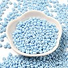 Baking Paint Glass Seed Beads SEED-B001-02A-08-2