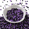 Baking Paint Glass Seed Beads SEED-S042-05A-18-2