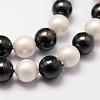 Polished Shell Pearl Bead Strands BSHE-F013-07C-3