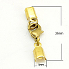 Clip Ends With Lobster Claw Clasps X-KK-G144-G-1