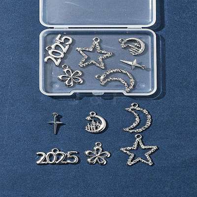 12Pcs 6 Styles Alloy Pendants FIND-FS0003-38P-1