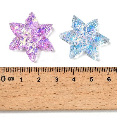 Transparent Resin Cabochons CRES-I044-05A-1