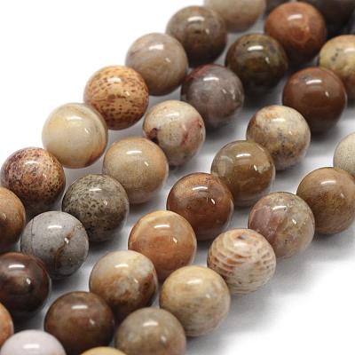 Natural Fossil Coral Beads Strands G-G763-12-8mm-1