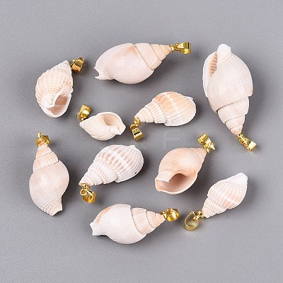 Brass & Natural Spiral Shell Pendants SHEL-Q029-18KCG-1