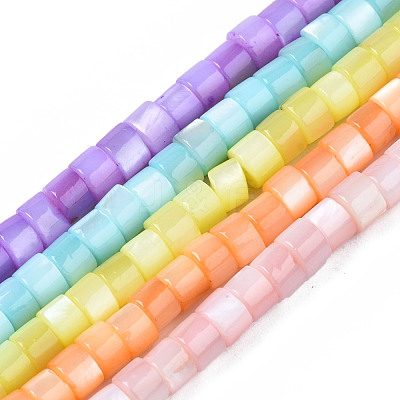 Natural Freshwater Shell Beads Strands SHEL-S278-047-1