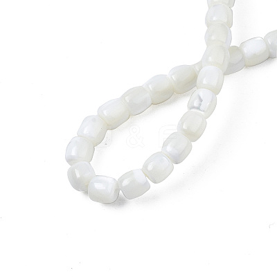 Natural Trochid Shell/Trochus Shell Beads Strands X-SSHEL-N034-121-B01-1