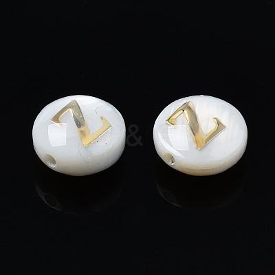 Natural Freshwater Shell Beads SHEL-S278-036Z-1