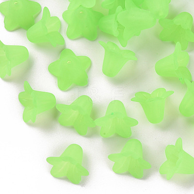 Transparent Acrylic Beads PLF018-05-1
