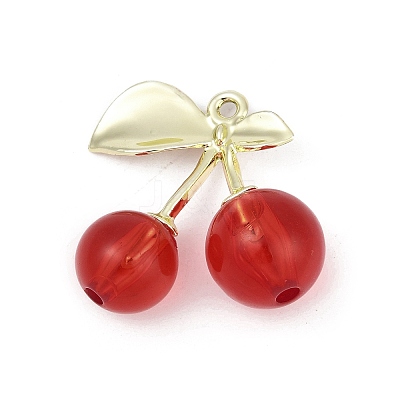 Alloy & Acrylic Pendants PALLOY-S053-01LG-A-1