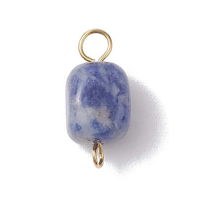 Natural Mixed Gemstone Cuboid Connector Charms PALLOY-JF02788-01-1