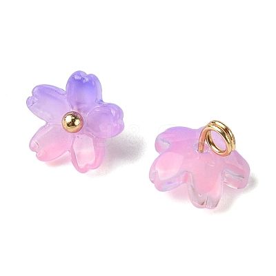 Alloy Acrylic Pendants TACR-P016-01G-13-1