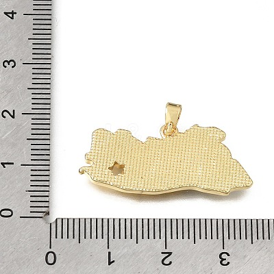 Brass Enamel Pendants KK-C263-30C-G-1