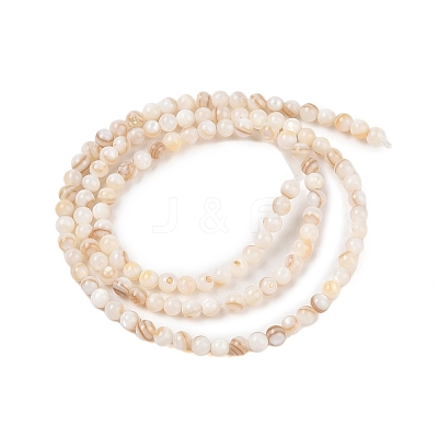 Natural Freshwater Shell Beads Strands X-SHEL-T011-02-3mm-1