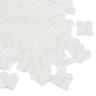 Frosted Transparent Acrylic Beads OACR-P029-09B-05-1