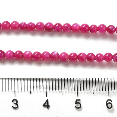 Natural Freshwater Shell Beads Strands X-SHEL-H003-03F-1