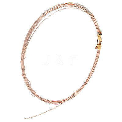 925 Sterling Silver Wire FIND-PH0008-40RG-1
