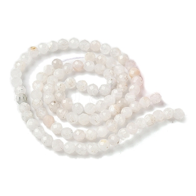 Natural Moonstone Beads Strands X-G-C201-B06-4mm-1