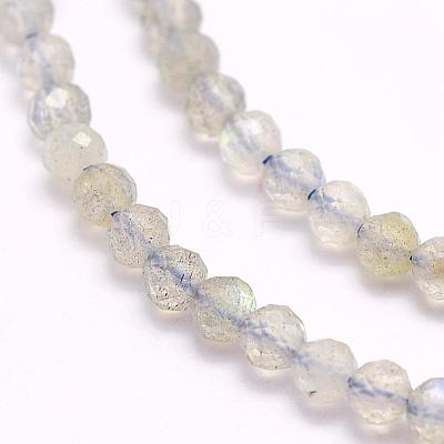 Natural Labradorite Beads Strands G-F509-03-4mm-1