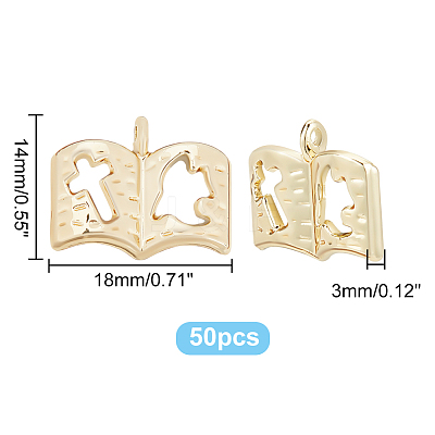 50Pcs Alloy Charms FIND-DC0001-87-1