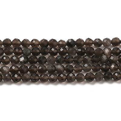 Natural Silver Sheen Obsidian Beads Strands G-E608-A02-B-1