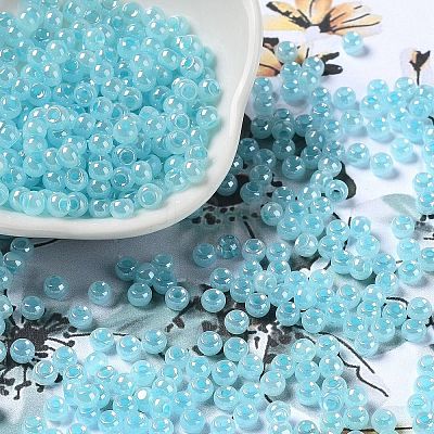 Glass Seed Beads SEED-H002-E-A1411-1