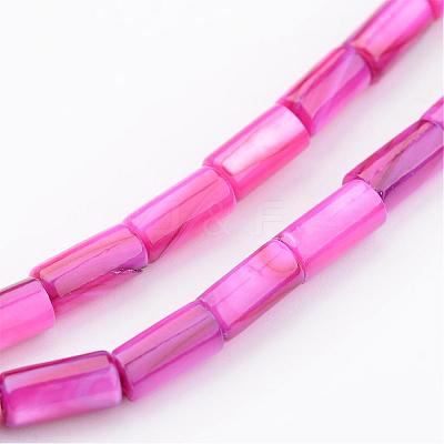 Natural Shell Bead Strands BSHE-P016-09-1