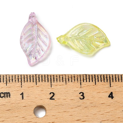 Transparent Acrylic Pendants MACR-F084-02-1