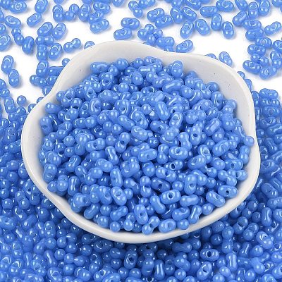 Baking Paint Glass Seed Beads SEED-L011-09A-05-1