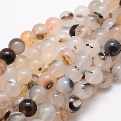 Natural Dendritic Agate Round Beads Strands G-E321C-8mm-01-1