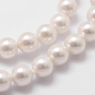 Shell Pearl Beads Strands BSHE-L025-01-6mm-1