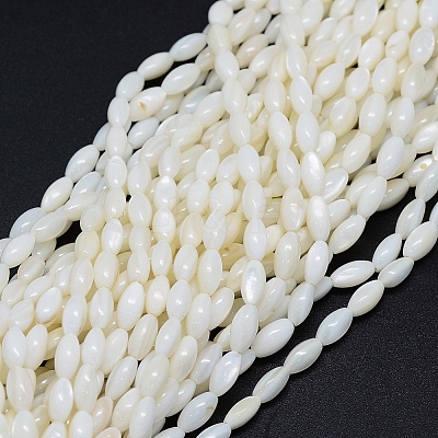 Dyed Natural Shell Beads Strands X-BSHE-E023-01C-1