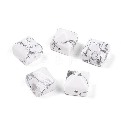 Natural Howlite Beads G-N345-02A-09-1