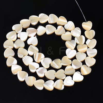 Natural Trochid Shell/Trochus Shell Bead Strands SSHEL-N034-92B-01-1