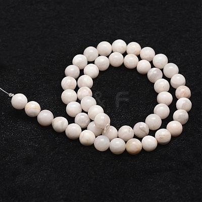 Natural White Crazy Lace Agate Bead Strands G-D840-55-10mm-1