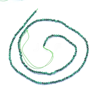 Natural Malachite Beads Strands G-I279-E15-01-1