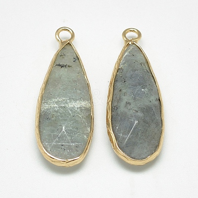 Natural Labradorite Pendants G-Q494-55C-1