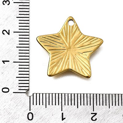304 Stainless Steel Pendants STAS-Z163-01G-01-1