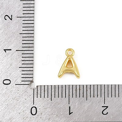 304 Stainless Steel Charms KK-I352-02G-1