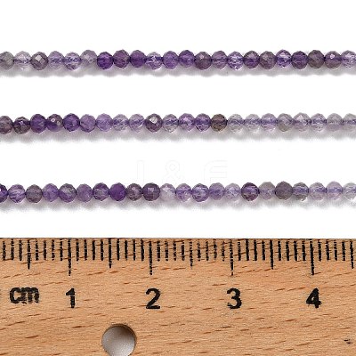 Natural Amethyst Beads Strands G-H321-A01-01-1