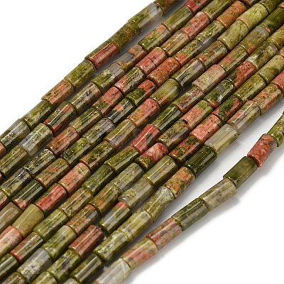 Natural Unakite Beads Strands G-P600-B06-01A-1