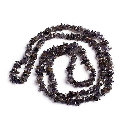 Natural Iolite Beads Strands G-D0002-C48-1