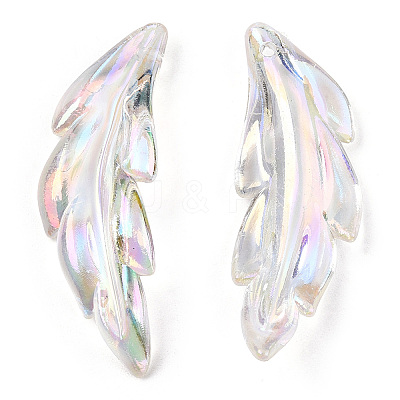 Transparent Acrylic Pendants TACR-T012-07-1