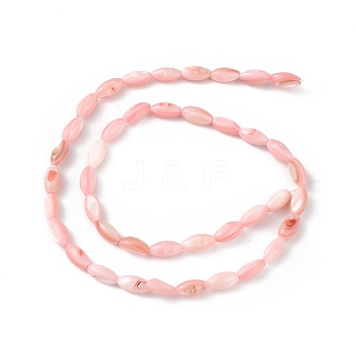 Natural Freshwater Shell Dyed Beads Strands SHEL-M018-13-07-1